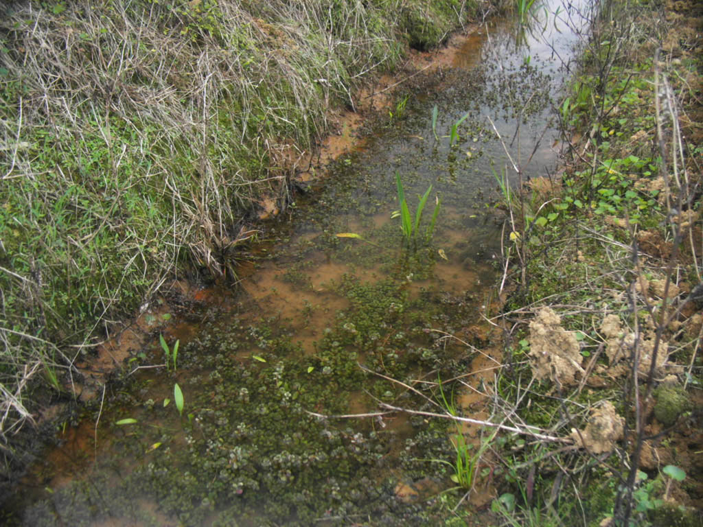 «ö¦¹¦b·sµøµ¡ÂsÄý¹Ï¤ù