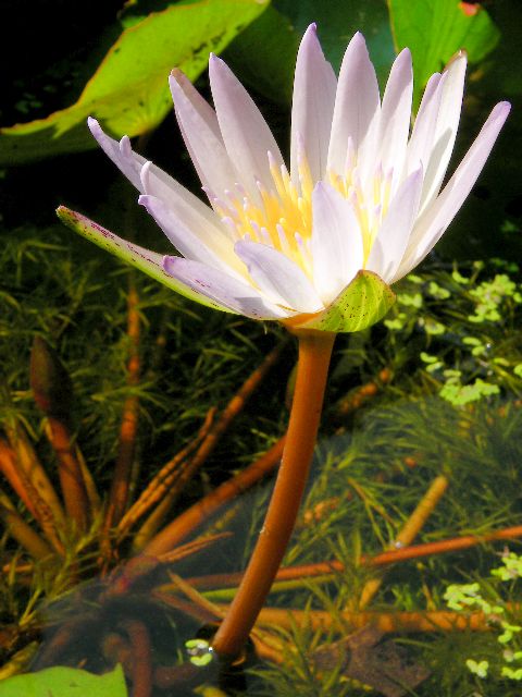 按此在新視窗瀏覽圖片