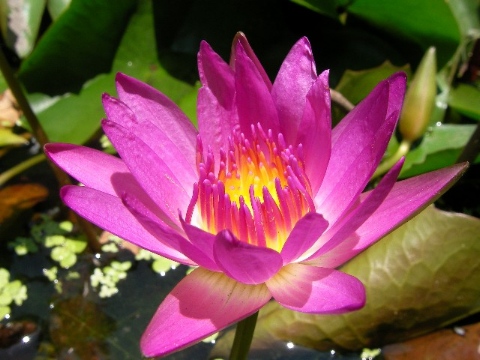 按此在新視窗瀏覽圖片