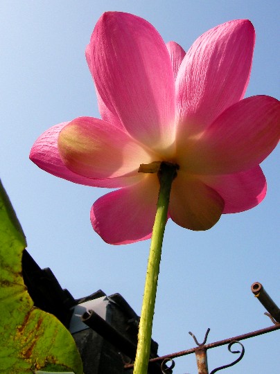 按此在新視窗瀏覽圖片