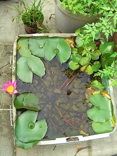 «ö¦¹¦b·sµøµ¡ÂsÄý¹Ï¤ù