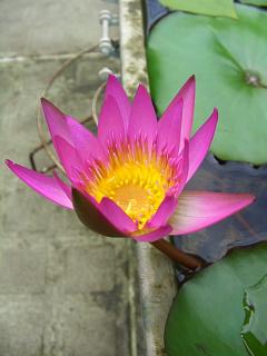 «ö¦¹¦b·sµøµ¡ÂsÄý¹Ï¤ù