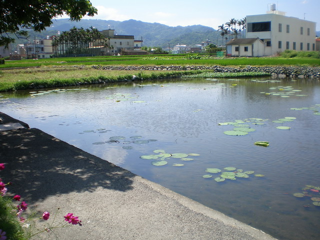 «ö¦¹¦b·sµøµ¡ÂsÄý¹Ï¤ù