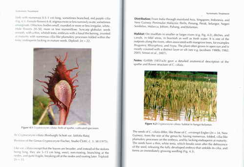 «ö¦¹¦b·sµøµ¡ÂsÄý¹Ï¤ù