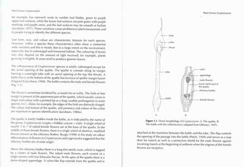«ö¦¹¦b·sµøµ¡ÂsÄý¹Ï¤ù