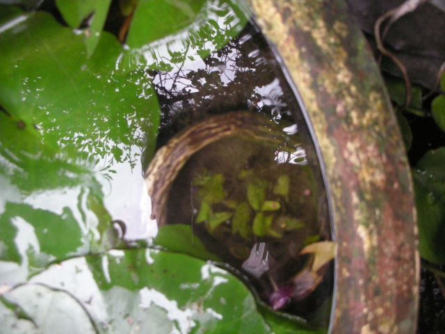 «ö¦¹¦b·sµøµ¡ÂsÄý¹Ï¤ù