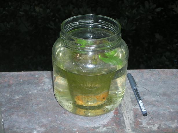 «ö¦¹¦b·sµøµ¡ÂsÄý¹Ï¤ù