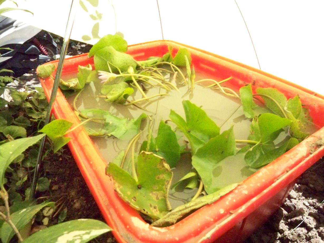 «ö¦¹¦b·sµøµ¡ÂsÄý¹Ï¤ù