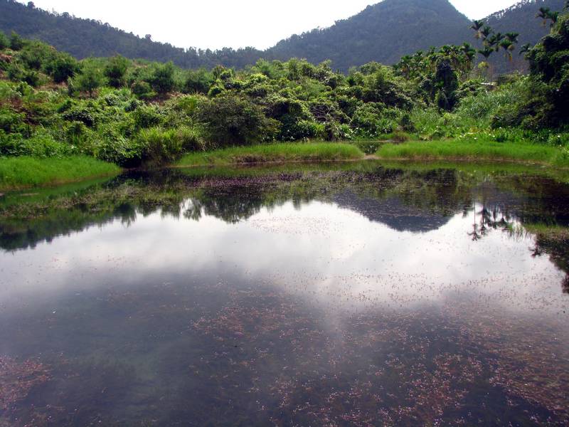 按此在新視窗瀏覽圖片