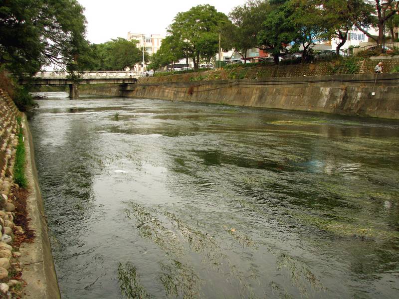 按此在新視窗瀏覽圖片