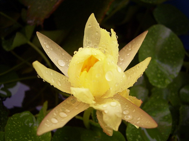 按此在新視窗瀏覽圖片