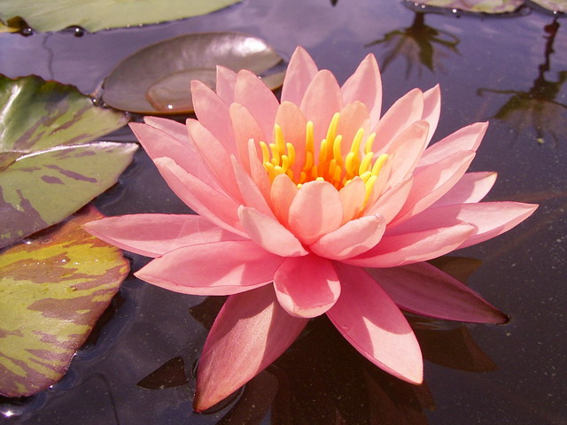 按此在新視窗瀏覽圖片