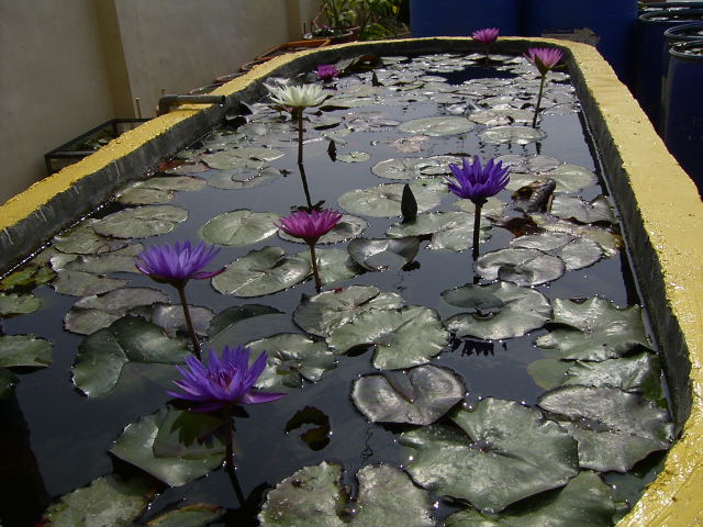 按此在新視窗瀏覽圖片