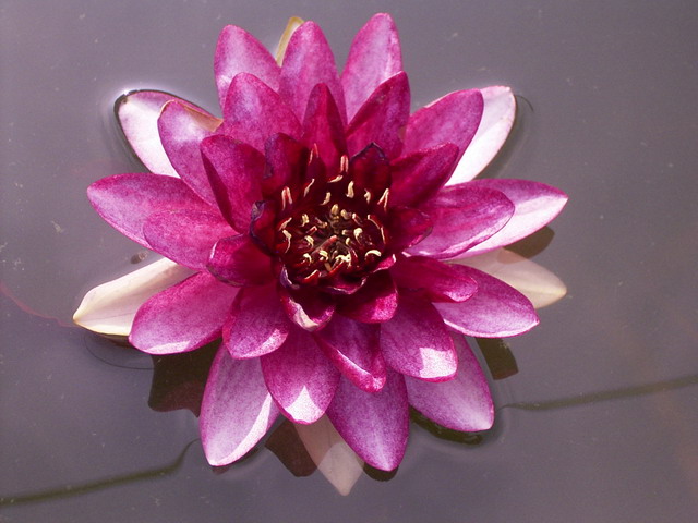 按此在新視窗瀏覽圖片