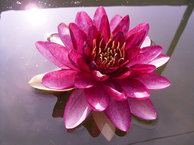 按此在新視窗瀏覽圖片