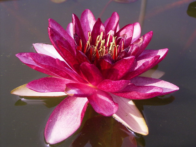 按此在新視窗瀏覽圖片