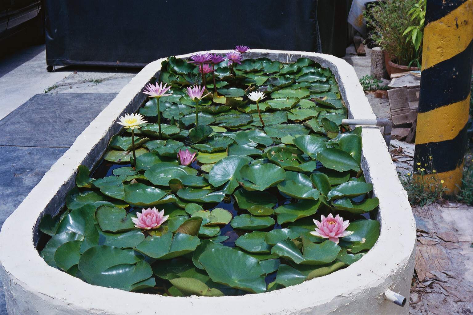 按此在新視窗瀏覽圖片