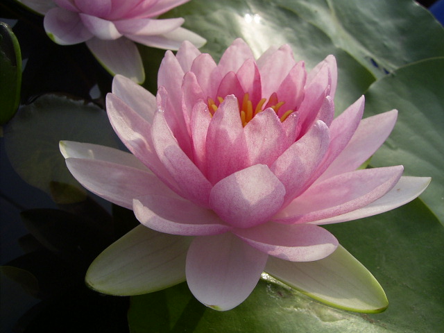 按此在新視窗瀏覽圖片