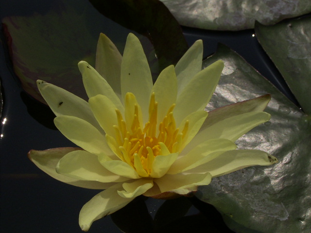 按此在新視窗瀏覽圖片