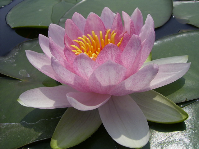 按此在新視窗瀏覽圖片