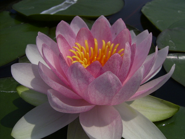 按此在新視窗瀏覽圖片