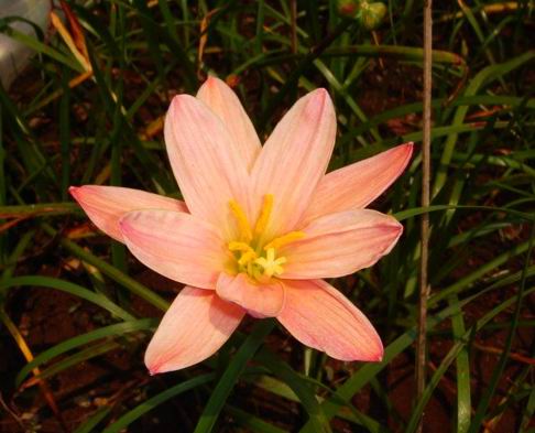 «ö¦¹¦b·sµøµ¡ÂsÄý¹Ï¤ù