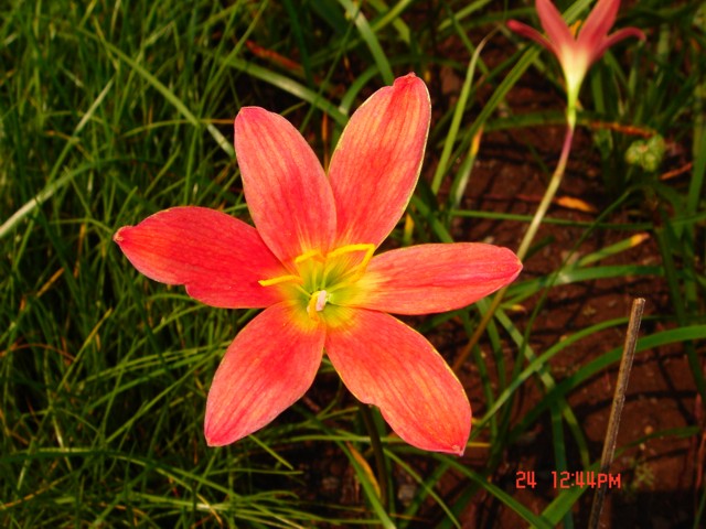 «ö¦¹¦b·sµøµ¡ÂsÄý¹Ï¤ù