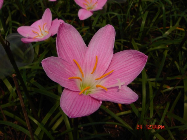 «ö¦¹¦b·sµøµ¡ÂsÄý¹Ï¤ù