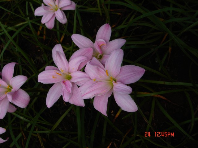 «ö¦¹¦b·sµøµ¡ÂsÄý¹Ï¤ù