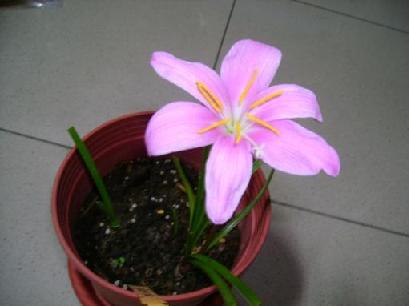 «ö¦¹¦b·sµøµ¡ÂsÄý¹Ï¤ù