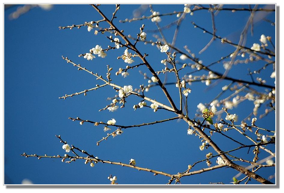 按此在新視窗瀏覽圖片