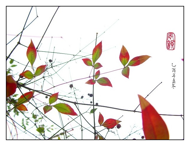 按此在新視窗瀏覽圖片