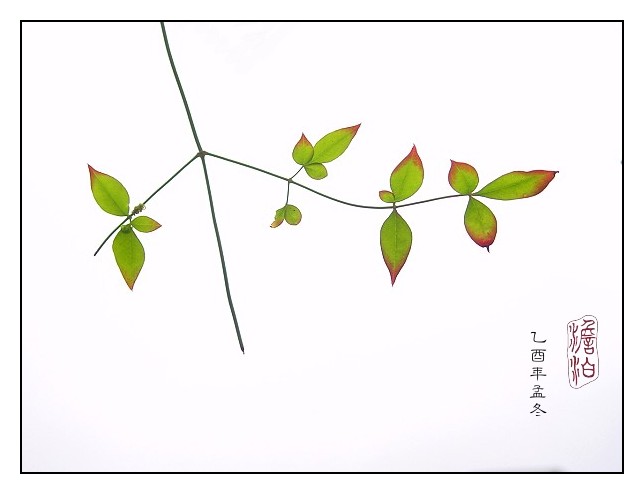 按此在新視窗瀏覽圖片