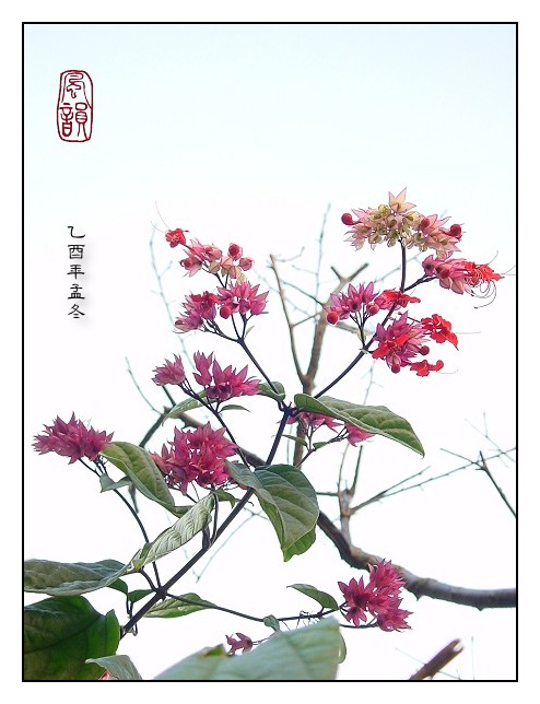 按此在新視窗瀏覽圖片