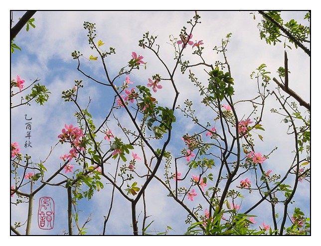 按此在新視窗瀏覽圖片