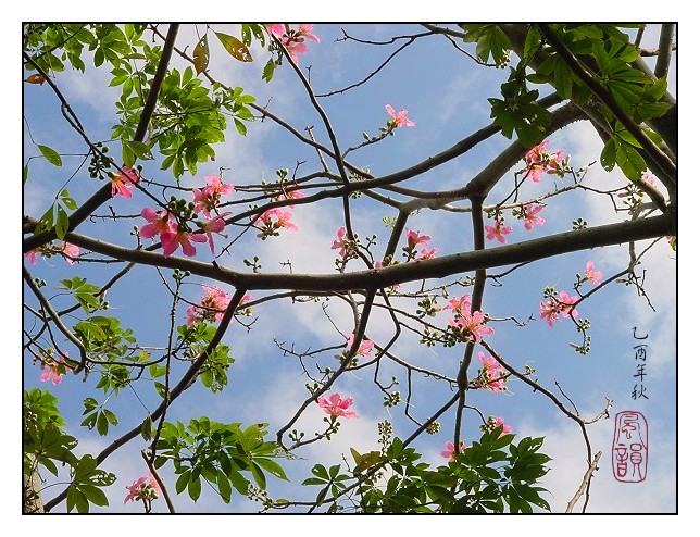 按此在新視窗瀏覽圖片