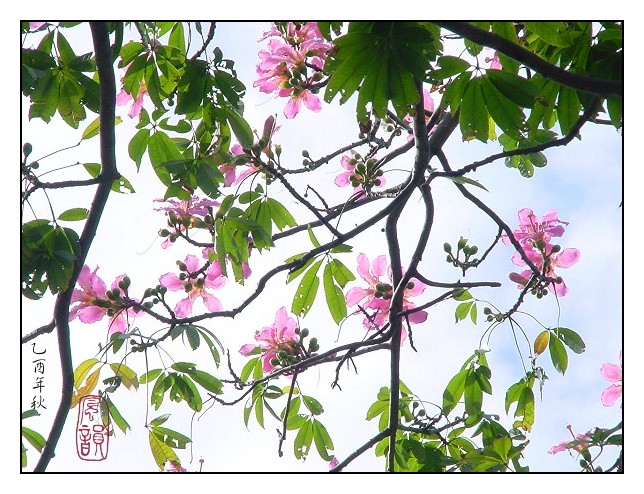 按此在新視窗瀏覽圖片