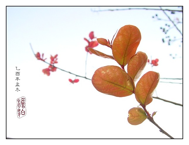 按此在新視窗瀏覽圖片