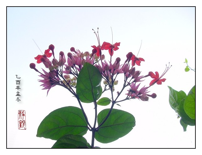 按此在新視窗瀏覽圖片