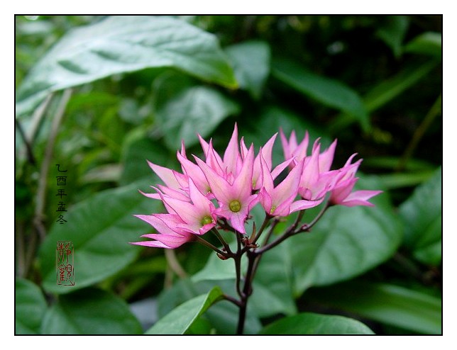 按此在新視窗瀏覽圖片