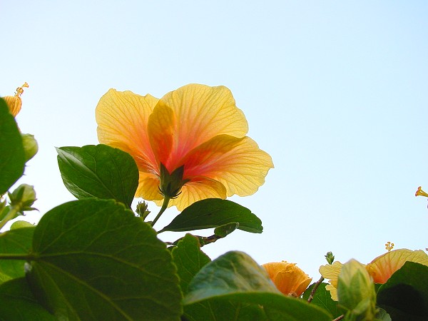 按此在新視窗瀏覽圖片