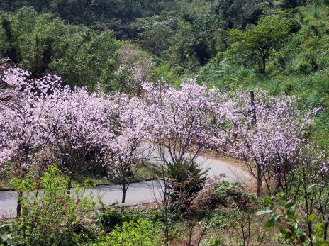 «ö¦¹¦b·sµøµ¡ÂsÄý¹Ï¤ù