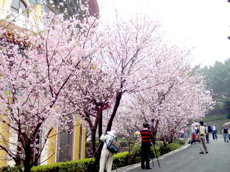 «ö¦¹¦b·sµøµ¡ÂsÄý¹Ï¤ù