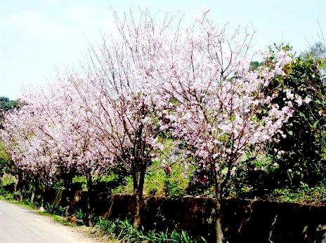 «ö¦¹¦b·sµøµ¡ÂsÄý¹Ï¤ù