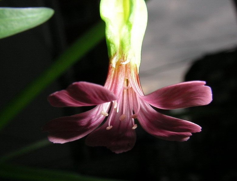 按此在新視窗瀏覽圖片