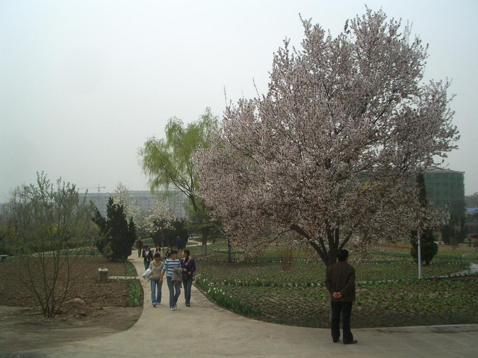 按此在新視窗瀏覽圖片