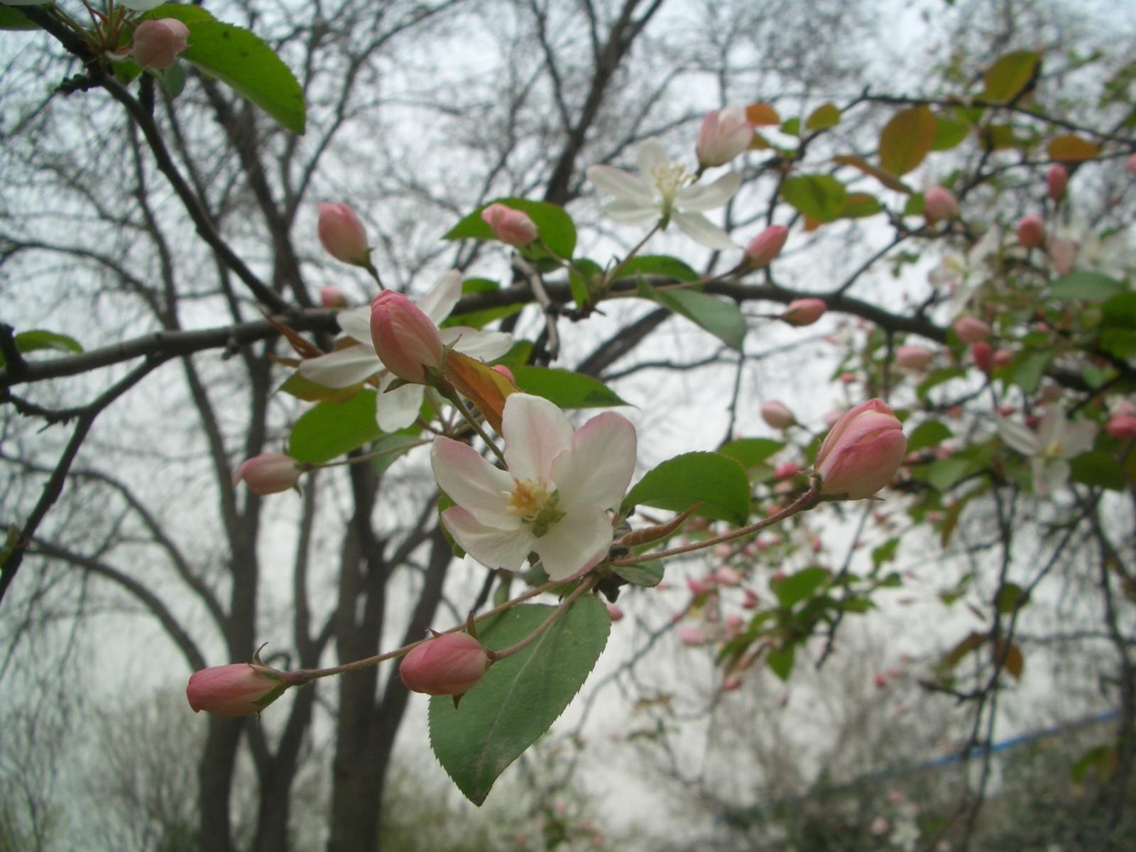 按此在新視窗瀏覽圖片