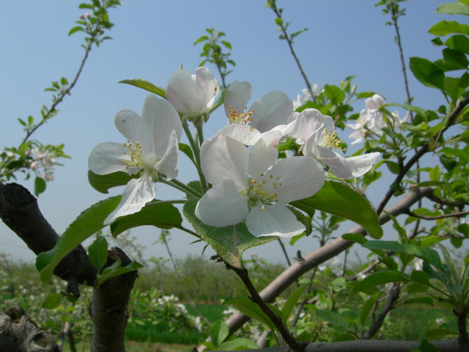 按此在新視窗瀏覽圖片
