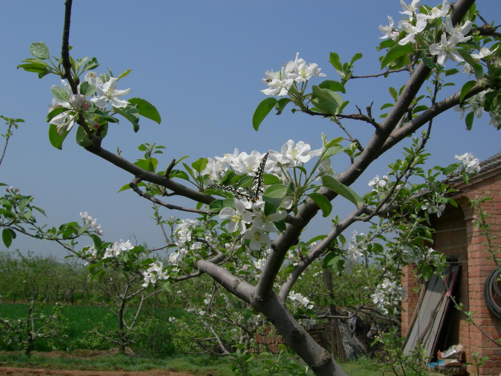 按此在新視窗瀏覽圖片