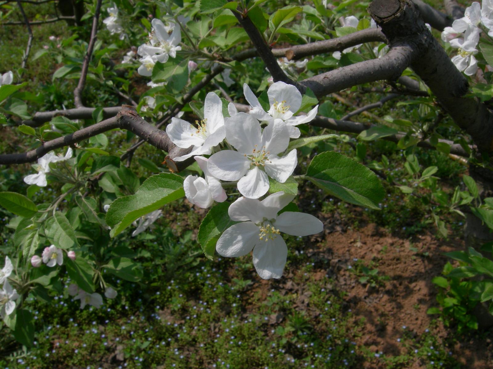 按此在新視窗瀏覽圖片